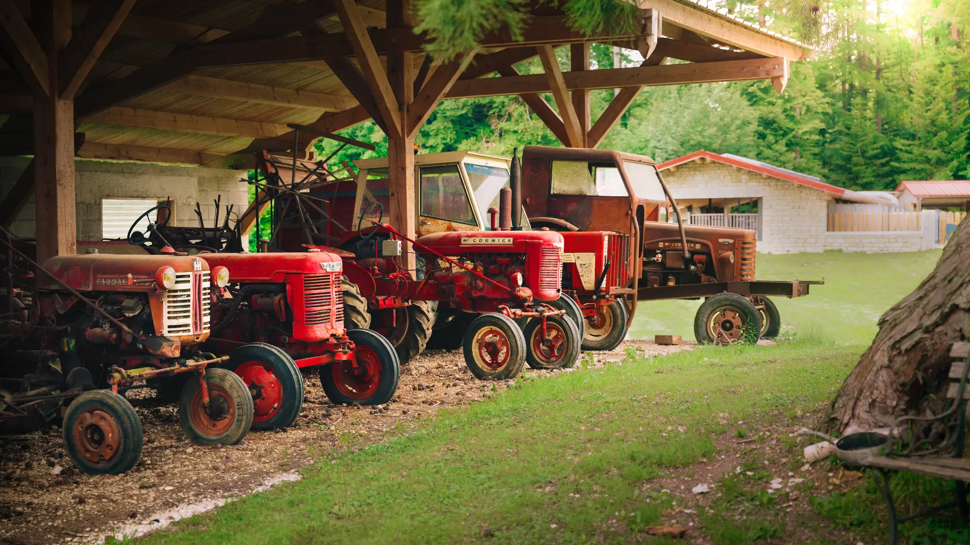 Collection de tracteurs anciens rouges